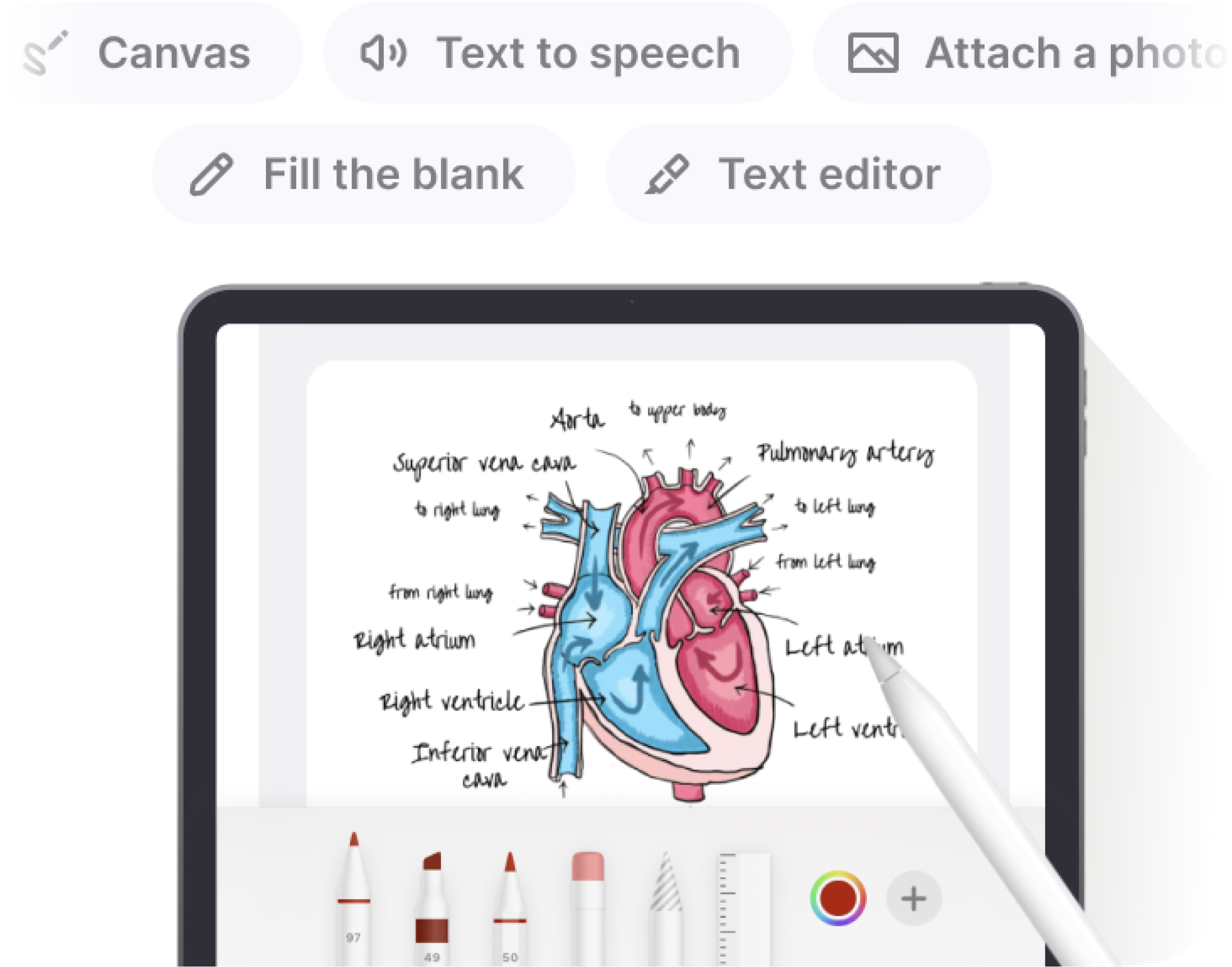 Create flashcards the way you want Create flashcards the way you want